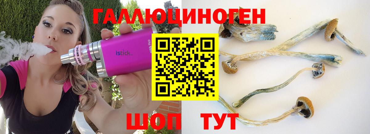 Видное  Галлюциногенные грибы Psilocybine cubensis  наркота  Вход с VPN 